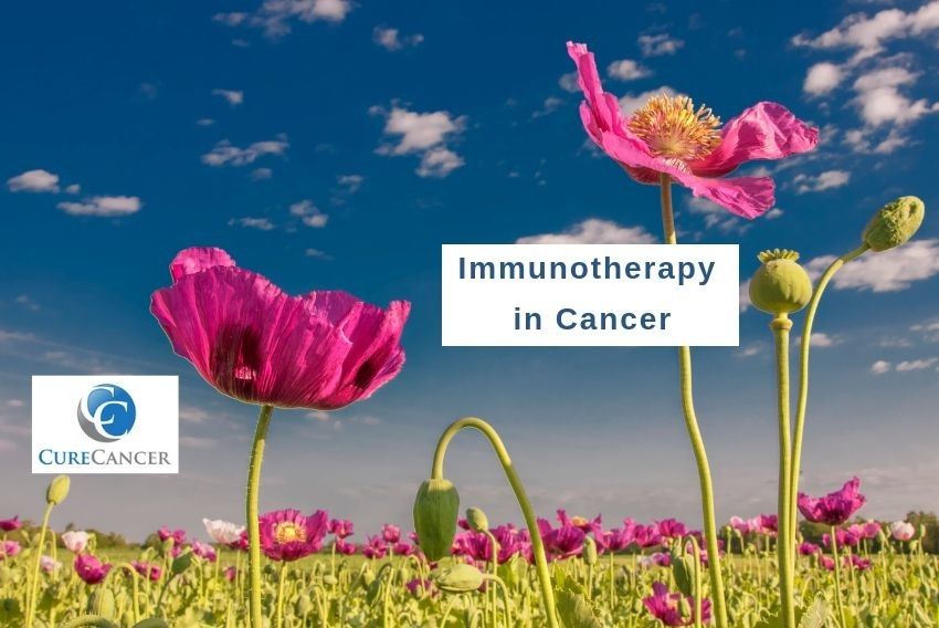 FDA Approves First Immunotherapy for Breast Cancer